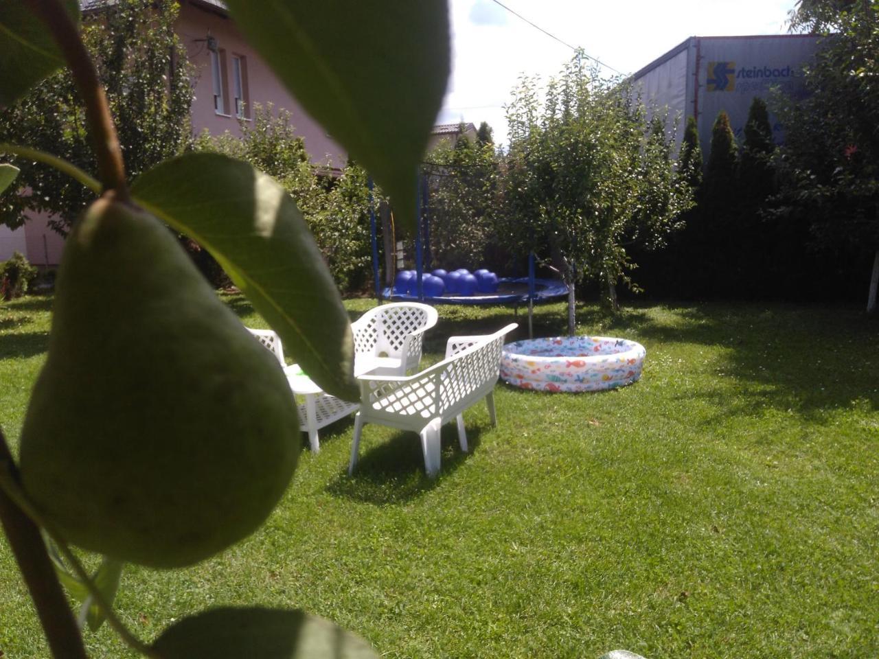 Elite Apartment Jasmina Bihać 外观 照片